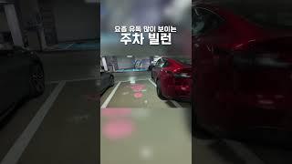 대체 왜 이럴까 #주차빌런 #주차 #테슬라 #한문철