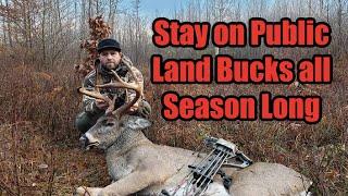 Stay on Public Land Bucks all Season Long