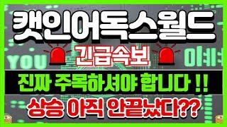 [캣인어독스월드 코인]탈출기회?오래기다렸다 지금까지 !!#캣인어독스월드코인 #캣인어독스월드 #캣인어독스월드호재 #캣인어독스월드전망 #캣인어독스월드분석