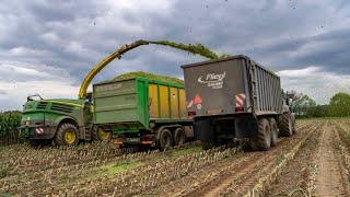 Chopping mais with strongest John Deere 8000 series forage harvester !! Tatra & Fendt tractors !