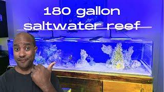 Natural #LED reef tank update. #saltwater  reef #cor reef tank