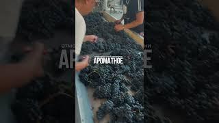 Добро пожаловать на винодельческий проект Ароматное #виноделие #wine