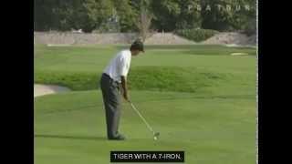 Tiger Woods 2002 WGC AmEx