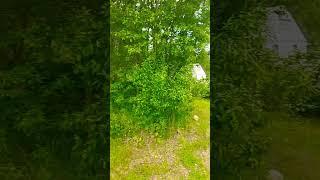 прогулка #жизньпенсионера