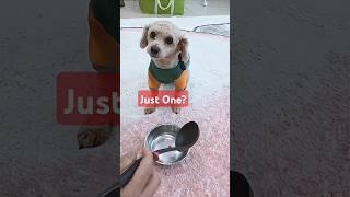 Is This Food?!