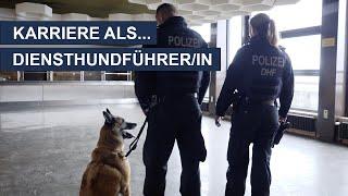 Karriere bei der Polizei NRW als ... Diensthundführerin / Diensthundführer