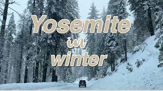 YOSEMITE TRAVEL | TENAYA LODGE | FAMILY TIME | MY BIRTHDAY