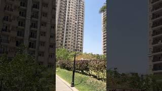 Ace Parkway - Luxury Apartment Tour #shorts #aceparkway #bricksbybricks #sector150noida