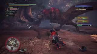 Ruiner Nergigante & Savage Deviljho Turf War