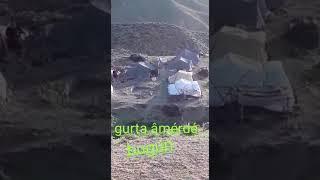 Bitlis Hizan tutumlu köyü yaylası dengbej kilam Kürtçe uzun hava