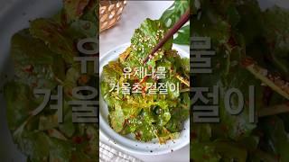겨울초 무침 유채나물 겉절이 만들기
