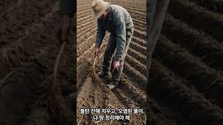 산불이 농업에 미치는 영향