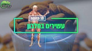 מזונות עשירים בחלבון שכדאי לאכול