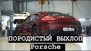 Дооснащение Porsche Panamera оригинальной выхлопной системой + расширенные возможности