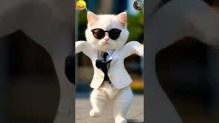 Try not to laugh, gentleman cat funny broom broom dance  #aicat #dancingcat #shorts