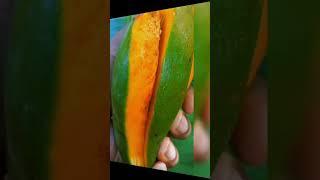 #shortvideo