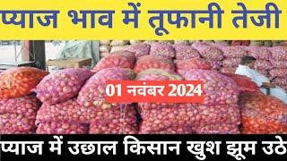 प्याज में तेजी इंदौर मंडी 01 नवंबर 2024 । Indore Mandi Pyaj bhav,aaj ka pyaj bhav#onion_rates_today