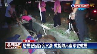 真落馬! 駿馬摔水溝 救援隊吊車平安救出－民視新聞