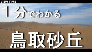 【１分で解説】鳥取砂丘　鳥取観光　砂熱すぎ注意(ラクダ・パラグライダーできるよ)