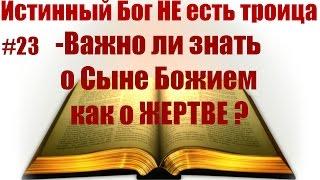 #23 Важно ли знать о Сыне Божием как о ЖЕРТВЕ? Истинный Бог НЕ есть троица: