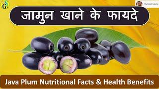 Jamun Nutritional Facts & Health Benefits | java plum khane ke fayade | Jambolan Bioactive Compounds