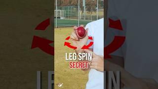 This Leg Spin SECRET will help you RIP the ball!!!