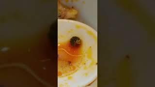 好可爱啊，分享给谁呢。 算了别人肯定觉得没意思吧。#美食 #吃货日常 #美食vlog #生活碎片