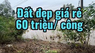 Đất đẹp giá rẻ 60 triệu/ công , có sẵn nền nhà 200 thổ cư, nhận ký gửi nhà đất các tỉnh 0792246079