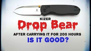 Extended Use Review! I carried the Kizer Drop Bear for 20 days straight!