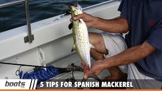 How to Fish: 5 Tips for Spanish Mackerel