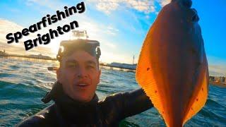 Spearfishing for a HUGE plaice under Brighton pier ! #100's of mullet