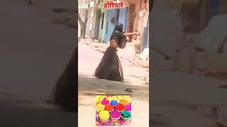 #Holi #Horiyare #shorts #feed #shortsfeed #shortvideo #short #shortsvideo #shortviral
