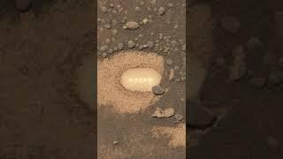 Som ET - 65 - Mars - Curiosity Sol 4307 - 3