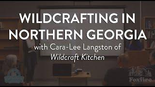 "Our Appalachia" Lecture Series: Wildcrafting in Northern Georgia