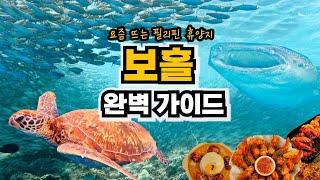 요즘 가장 핫한 동남아 여행지  필리핀 보홀 3박 5일 자유여행 코스, 투어 일정 완벽정리 (보홀맛집, 고래상어 호핑투어, 반딧불투어)