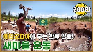 에티오피아에 새마을 운동을! ｜포항MBC 특집다큐 "새마을 운동"