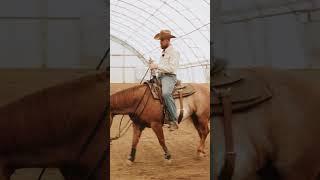 My favourite reining exercise for beginners