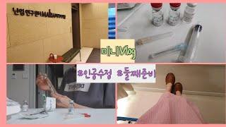인공수정 시술 6회차 / 시험관 실패 / 둘째준비