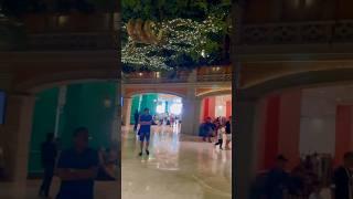 “Wanderlust wander land “ #ytshorts #foryou #travel