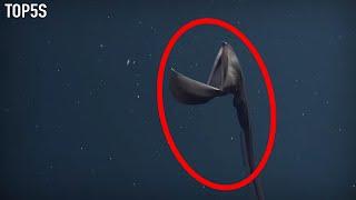 5 Creepy Deep Sea Creatures Caught on Film...