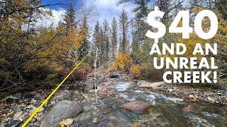 Amazing Creek Fishing with a CHEAP (But Good?!) Tenkara Rod