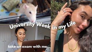 college week in my life: TAKE AN EXAM WITH ME, pr unboxing, clothing try on, Hamilton waterfall hike