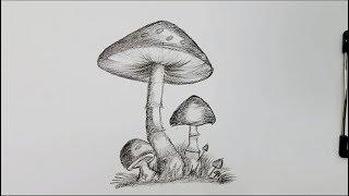 how to draw mushroom step by step