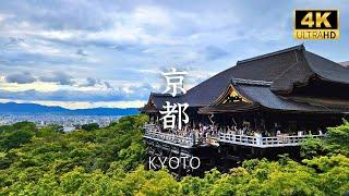 [ Kyoto ] Best place to experience traditional and charm of #Japan #kyoto