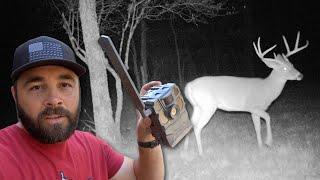 Tips to Get Big Bucks on Camera!