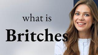 Britches — definition of BRITCHES