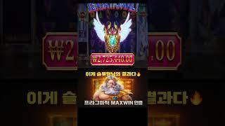 슬롯형님이 또 터뜨렸습니다 – 5,000배 올림푸스 잭팟