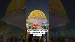 Ahmedabad International Flower Show 2025 | Night View #flowershow2025 #ahmedabad