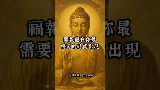 你所付出的善意，宇宙都會記得#佛音覺悟 #每日佛語 #佛語心靈 #正能量語錄#心靈療癒 #念念為善 #宇宙回響 #福慧增長 #南無阿彌陀佛