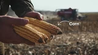 Spreadable Mineral Pellets for the dormant off-season or to distribute well before planting time.